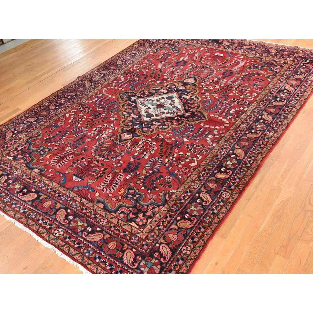 Vintage Hand Knotted Red Wool Rectangle Oriental Rug 8'10" x 12'3"