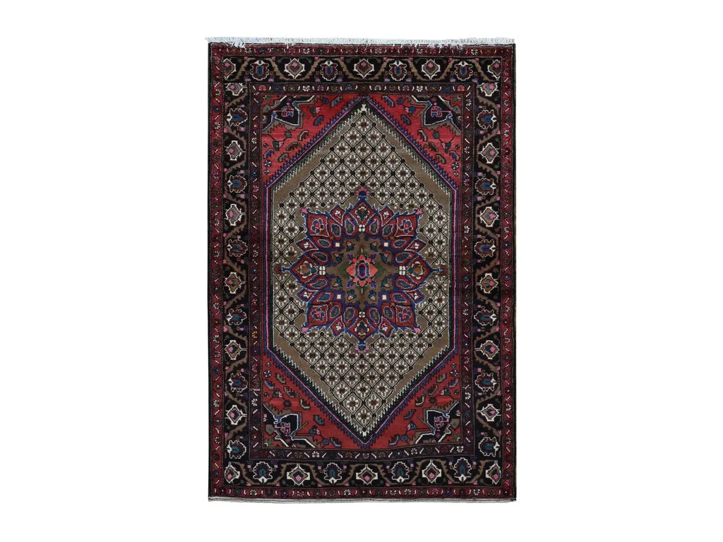 New Hand Knotted Brown Wool Rectangle Oriental Rug 4'1" x 6'9"